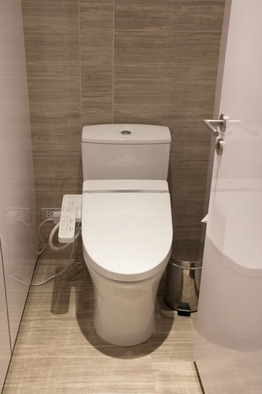 Toilet Parts Replacement in Denver, CO